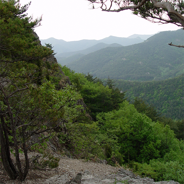 산 (山)