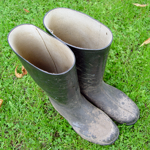 Gummistiefel, die