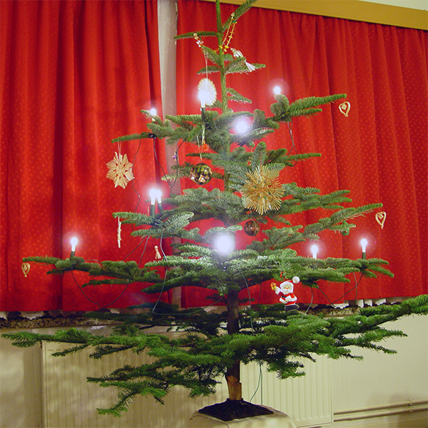 Weihnachtsbaum, der