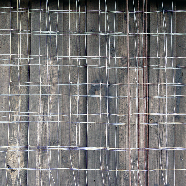 격자 (格子)