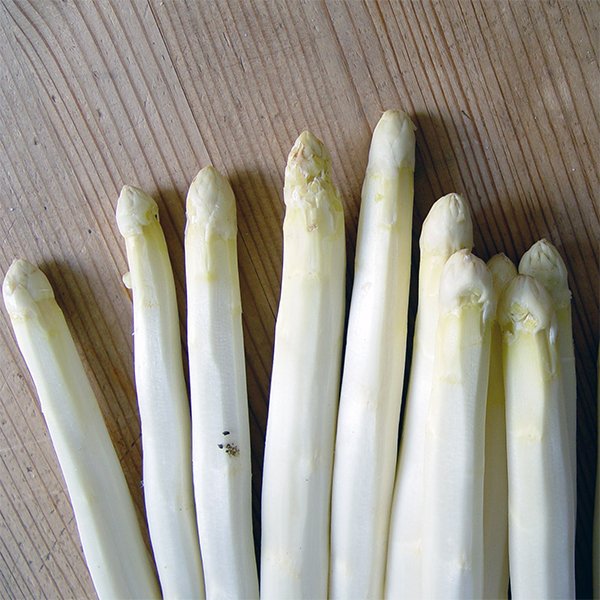 Spargel, der