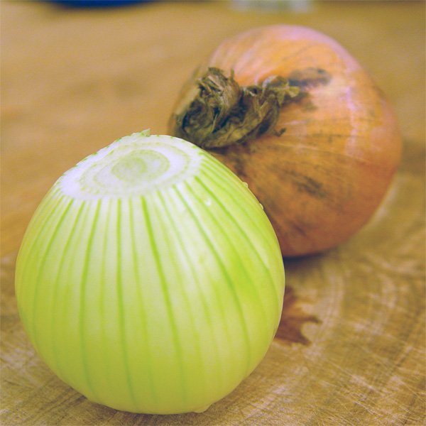 Zwiebel, die